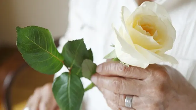 Ilustrasi. | Foto: copyright thinkstockphotos.com