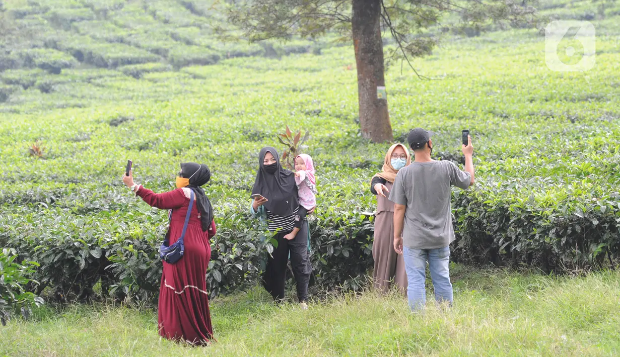 Warga berkeliling kebun teh di pinggir jalan raya yang menghubungkan Bogor-Cianjur di kawasan Gunung Mas, Puncak, Jawa Barat, Minggu (17/5/2020). Kegiatan ngabuburit atau menunggu waktu berbuka puasa ini melanggar aturan PSBB karena mengundang kerumunan massa. (merdeka.com/Arie Basuki)