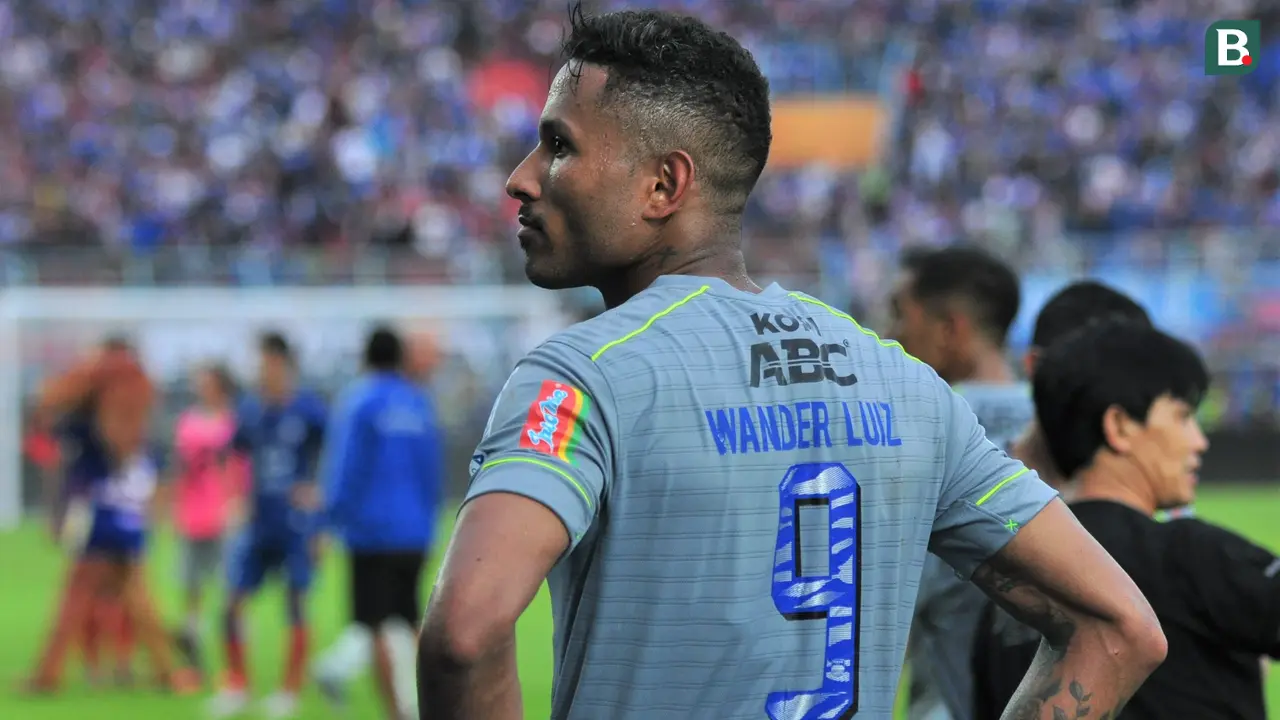 Wander Luiz, Persib Bandung