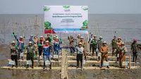 PT Pertamina Trans Kontinental (PTK) mendukung ekosistem karbon biru dengan menanam sebanyak 2.023 bibit mangrove berjenis Rhizophora mucronata dan meresmikan rumah pembibitan berkapasitas 2.045 bibit mangrove pada Selasa, (26/9) lalu di Kampung Wisata mangrove Lantebung yang terletak di Kelurahan Bira, Kecamatan Tamalanrea, Kota Makassar, Sulawesi Selatan.