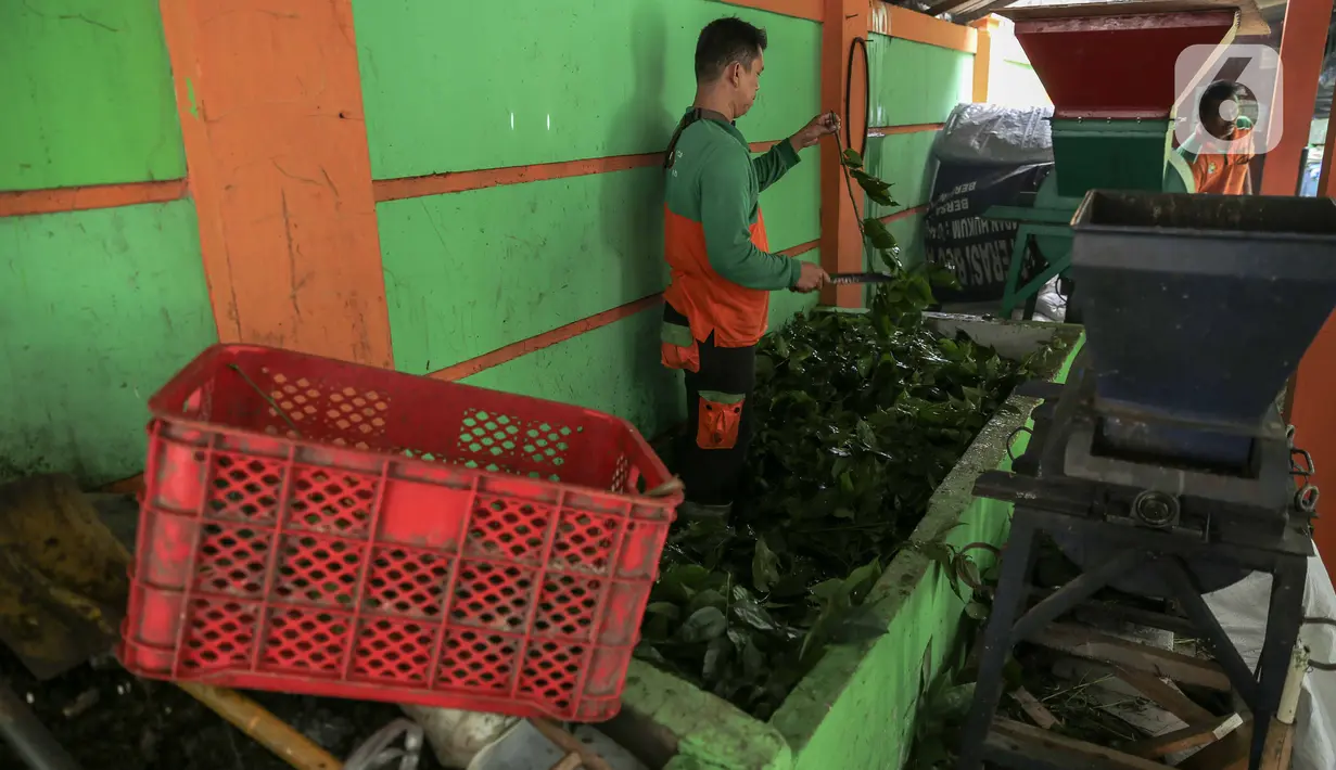 Aktivitas pengolahan pupuk kompos dari  sampah daun di TPS 3R Ketapang Satpel Lingkungan Hidup Kecamatan Gambir, Jakarta, Rabu (22/2/2023). TPS 3R Ketapang Satpel Lingkungan Hidup Kecamatan Gambir itu dapat mereduksi atau mengurai sampah organik menjadi kompos sebanyak 200-300 kilogram per hari. (Liputan6.com/Faizal Fanani)