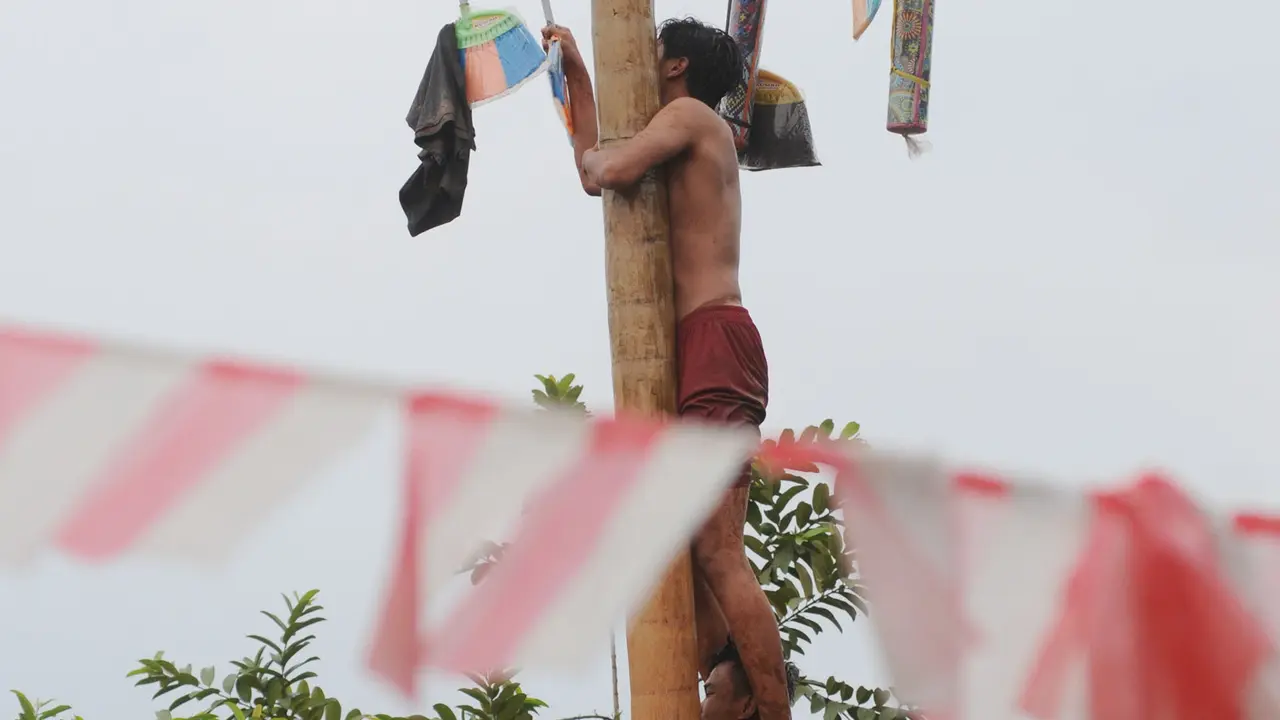 Lomba Panjat Pinang HUT RI