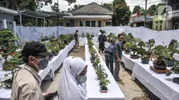 Pengunjung melihat koleksi pohon bonsai yang dipamerkan dalam acara Jengbreng BSC di kawasan Sawangan, Depok, Jawa Barat, Minggu (6/3/2022). Pameran tersebut diikuti oleh 200 peserta dari Jabodetabek. (merdeka.com/Iqbal S. Nugroho)