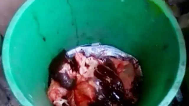 Ilustrasi daging kurban dari sapi yang baru dipotong