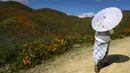 Seorang wanita melintas di jalan setapak di antara bunga poppy yang mekar di Danau Elsinore, California pada 8 Maret 2019. Puncak mekarnya bunga-bunga ini biasanya terjadi di pertengahan Februari hingga akhir bulan Maret. (Photo by Maro SIRANOSIAN / AFP)