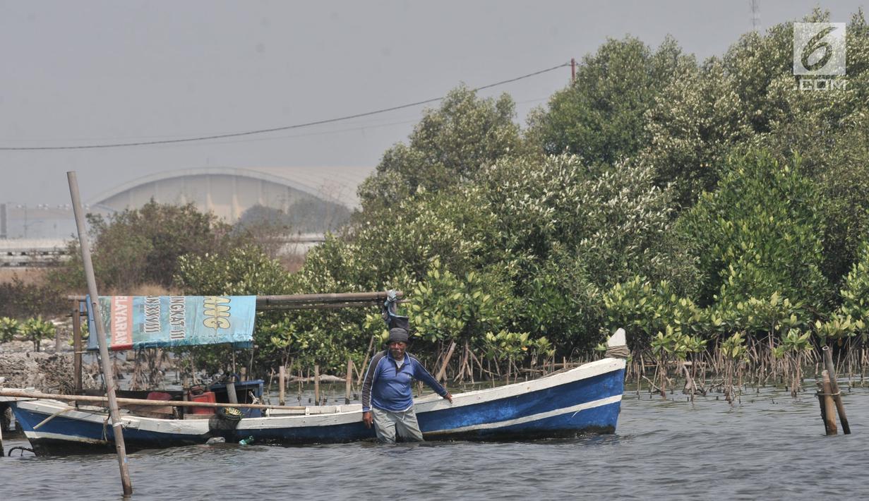 Aktivitas nelayan di dekat hutan bakau yang tersisa di pesisir Marunda, Jakarta, Selasa (27/8/2019). Selain itu, data Global Forest Watch mencatat sejak 2001-2018 DKI Jakarta telah kehilangan tutupan hutan mencapai 24 hektare. (merdeka.com/Iqbal S. Nugroho)