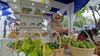 Buah mangga langka yang dipamerkan di Lapangan BB Biogen Komplek Badan Standarisasi dan Instrumen Pertanian (BSIP) Kementerian Pertanian, Bogor, Jawa Barat diantaranya jenis Roman Ayu, Red Emperor, Okyong, MG 61, Agri Gardina 25, Agri Gardina 45, Pawon, Edward, Wudel 45, Arum Manis, Dermayu, dan Chokanan.