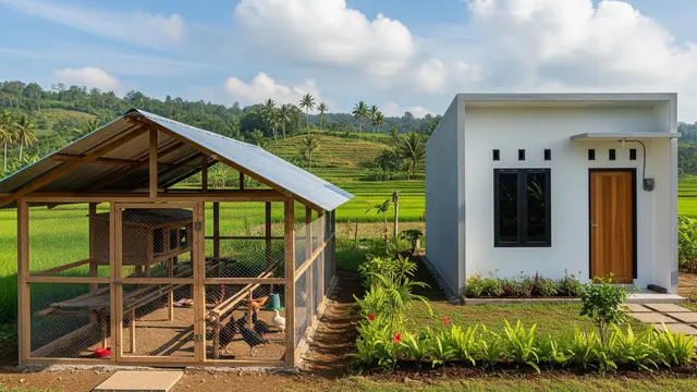 Ide Kandang Ayam Semi Terbuka dengan Ventilasi Maksimal di Samping Rumah Anti Bau
