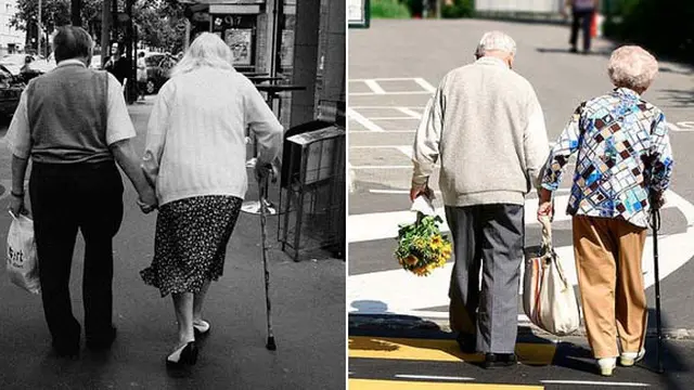 (c) blog.daum & bart.livejournal