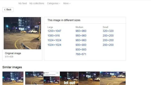 Gambar Tangkapan Layar Penelusuran dengan Yandex
