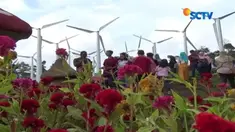 Taman Bunga Celosia mampu membuat pengunjung seolah-olah berwisata ke Eropa.