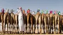 Seorang pawang menyiapkan para unta untuk mengikuti ajang balap selama Festival Moreeb Dune 2019 di gurun Liwa, Abu Dhabi, Selasa (1/1). Uniknya, yang menjadi joki bukanlah orang dewasa melainkan robot joki yang dikontrol dengan remot. (KARIM SAHIB / AFP)