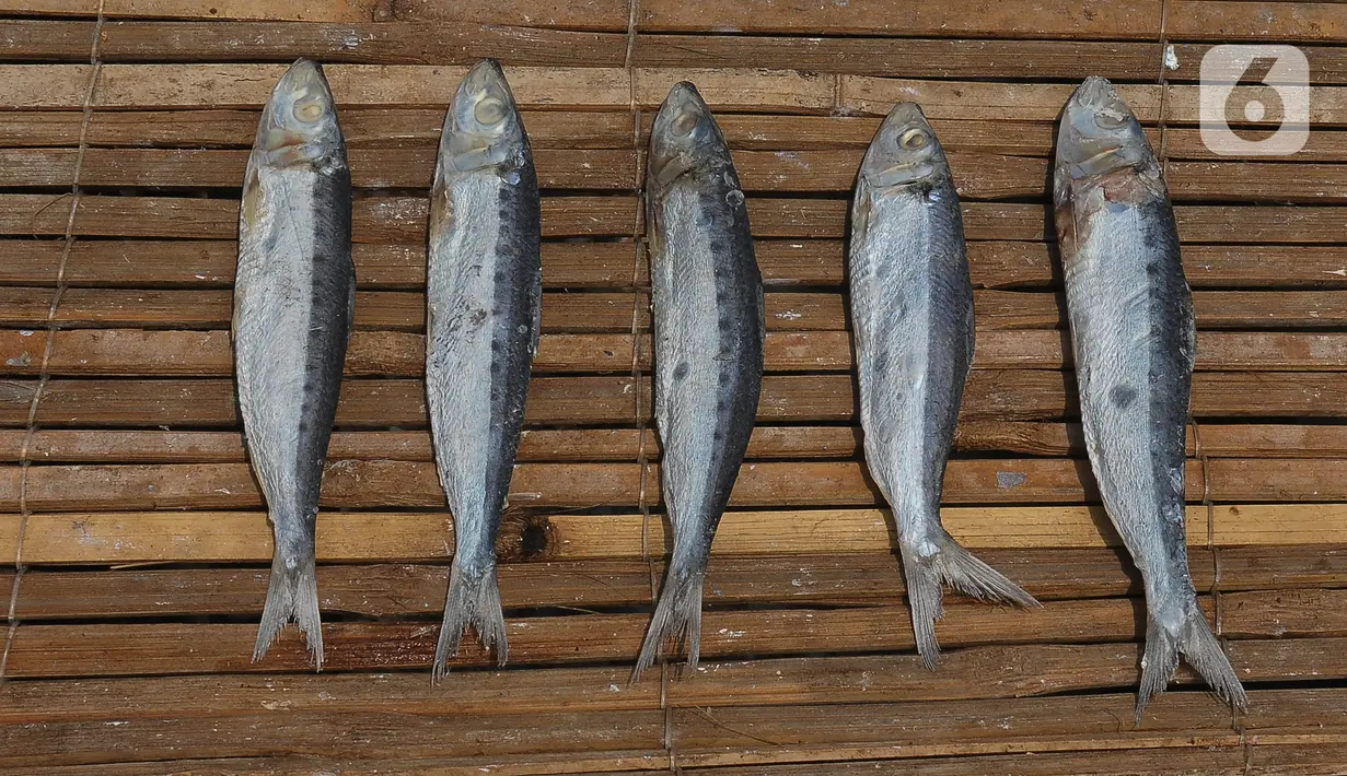 Pembuatan ikan asin ini terus berproduksi meskipun cuaca yang tidak menentu. (merdeka.com/Imam Buhori)