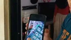 Viral Kucing Dilempar dari Lantai 5 Rusunawa Probolinggo hingga Mati Mengenaskan