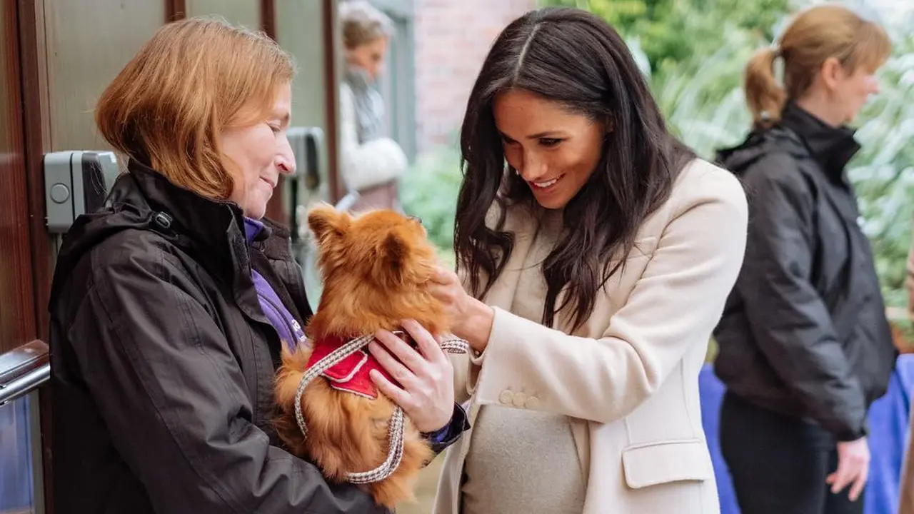 Meghan Markle