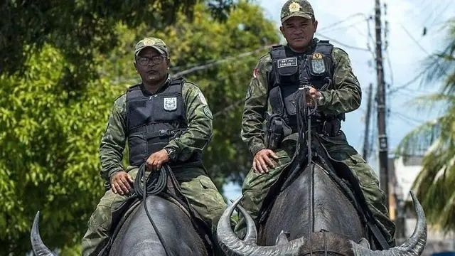 8 Foto Keunikan Ini Hanya Ada di Brasil, Bikin Geleng Kepala