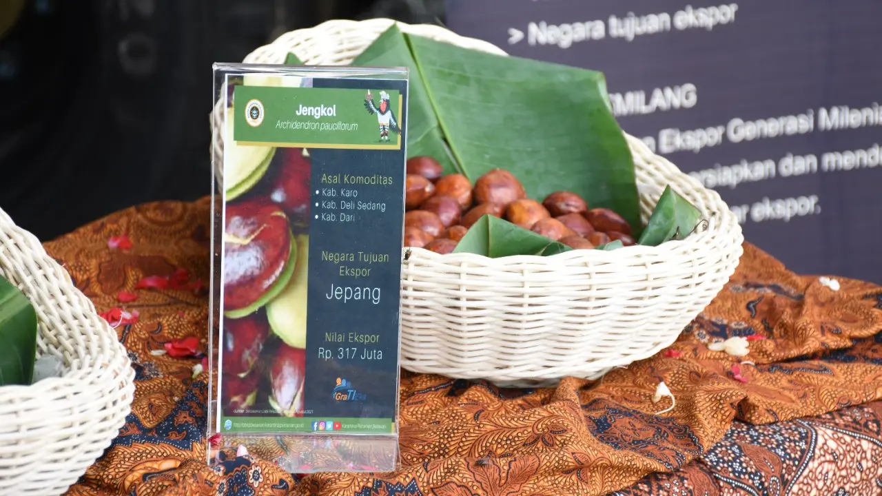 Jengkol Sumut
