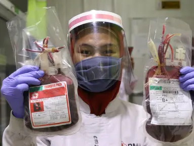 Petugas menunjukkan stok darah di PMI Kota Tangerang, Kamis (28/5/2020). Di tengah pandemi  Covid-19 yang penyebarannya semakin masif, PMI Kota Tangerang tetap memberikan pelayanan donor darah dengan melakukan protokol kesehatan. (Liputan6.com/Angga Yuniar)