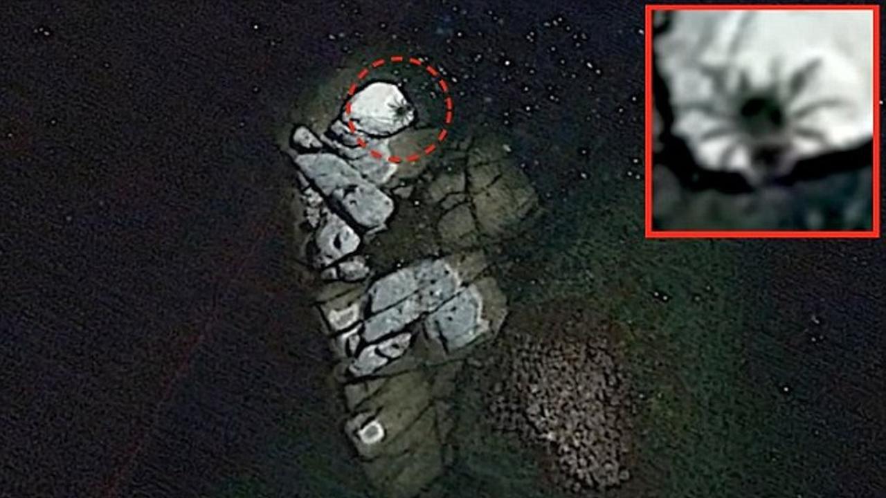 Penampakan Laba-laba Raksasa di Pulau Tak Berpenghuni, UFO?