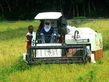 Petani memanen padi jenis IR 54 menggunakan mesin produk China di Galuh, Kulon Progo, Yogyakarta, Kamis (2/2/2020). Mesin yang disewa seharga Rp 500 ribu untuk memanen padi seluas 1.400 meter persegi itu mengefisienkan waktu, tenaga, dan modal dibandingkan tenaga manusia. (merdeka.com/Arie Basuki)