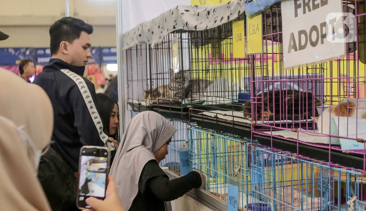 Pengunjung bisa menemui berbagai macam komunitas pecinta hewan, hingga mengadopsi kucing secara gratis. (Liputan6.com/Herman Zakharia)