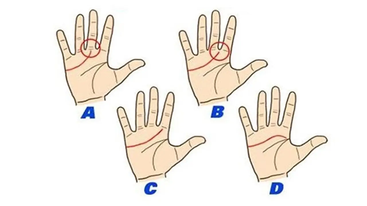 Ungkap Kepribadian Dilihat dari 4 Bentuk Garis Tangan, Kamu yang Mana?