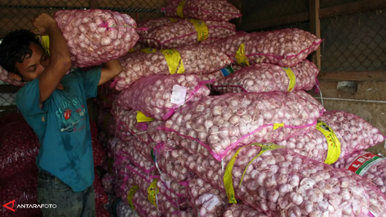 bawang-putih-a30326b.jpg