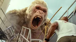 Adegan menegangkan ketika aktor Dwayne Johnson alias The Rock berhadapan dengan gorila dalam film Rampage. Film yang diangkat dari gim ini tayang di bioskop Tanah Air mulai 11 April 2018. (Warner Bros via AP)