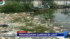 Sampah-sampah ini sebelumnya dibuang warga ke kali hingga akhirnya terbawa arus ke laut, lalu terseret ombak ke pinggir pantai dan hutan mangrove.