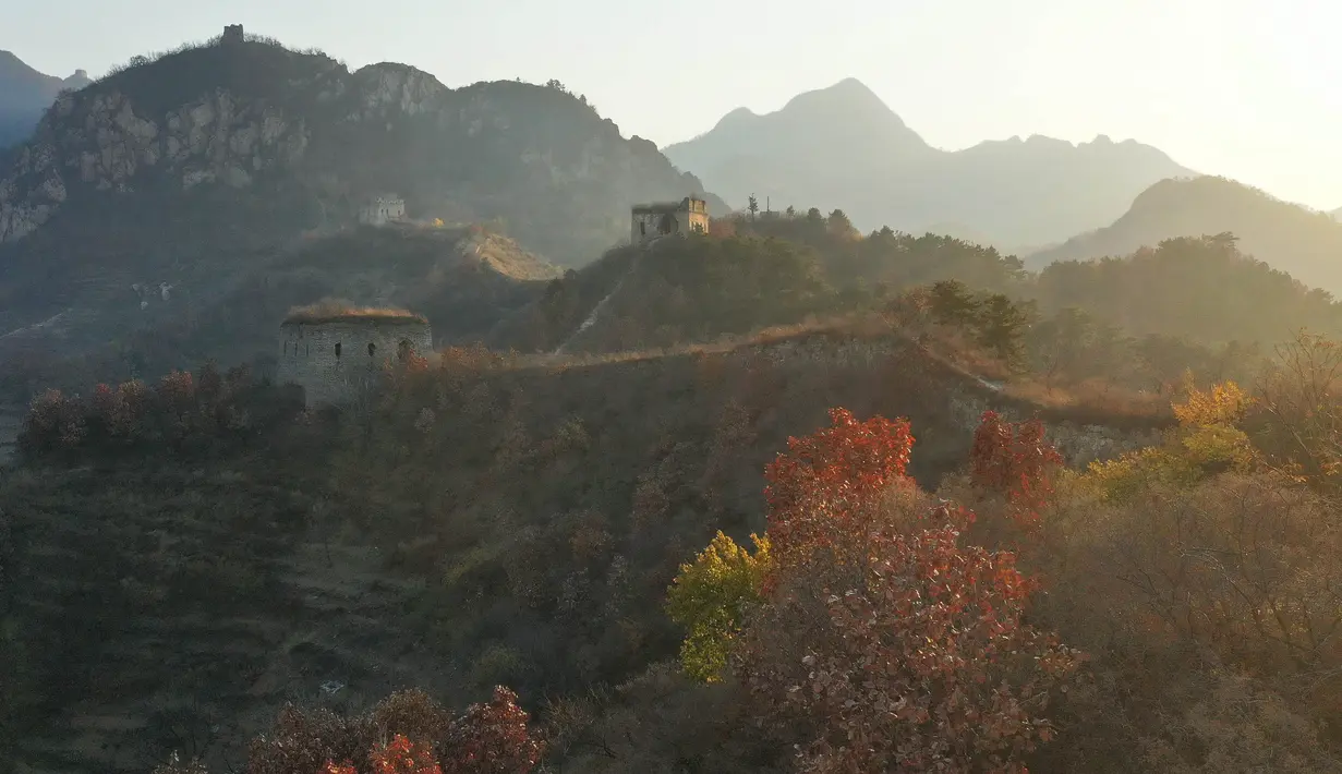 Foto dari udara yang diabadikan pada 4 November 2020 ini menunjukkan pemandangan musim gugur di Tembok Besar seksi Yumuling di Wilayah Qianxi, Provinsi Hebei, China utara. (Xinhua/Yang Shiyao)