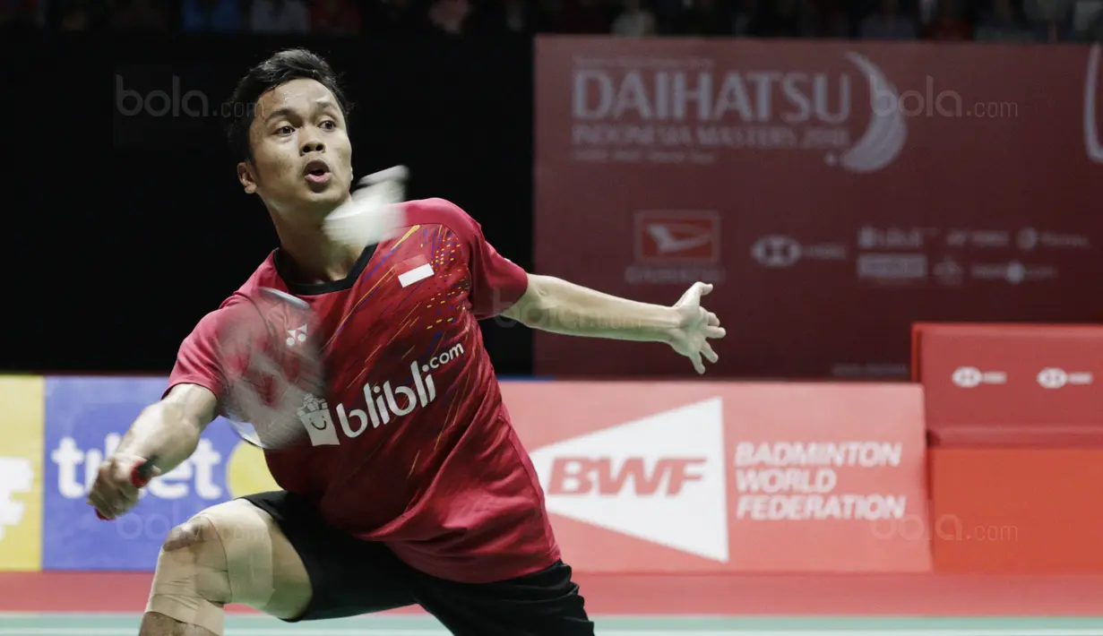 Tunggal putra Indonesia, Anthony Ginting, saat melawan wakil Taiwan, Chou Tien Chen, pada laga semifinal Indonesia Masters 2018 di Istora Senayan, Sabtu (27/1/2018). Anthony Ginting menang 21-16, 13-21, dan 21-12. (Bola.com/M Iqbal Ichsan)