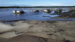 Seorang wanita berjalan di daerah yang terkena dampak kekeringan dekat Sungai Solimões, Tefe, Amazonas, Brasil, Rabu (19/10/2022). Ribuan keluarga mengalami banjir yang menghancurkan tanaman dan kini menghadapi masalah parah kekeringan yang telah terjadi berbulan-bulan. (AP Photo/Edmar Barros)