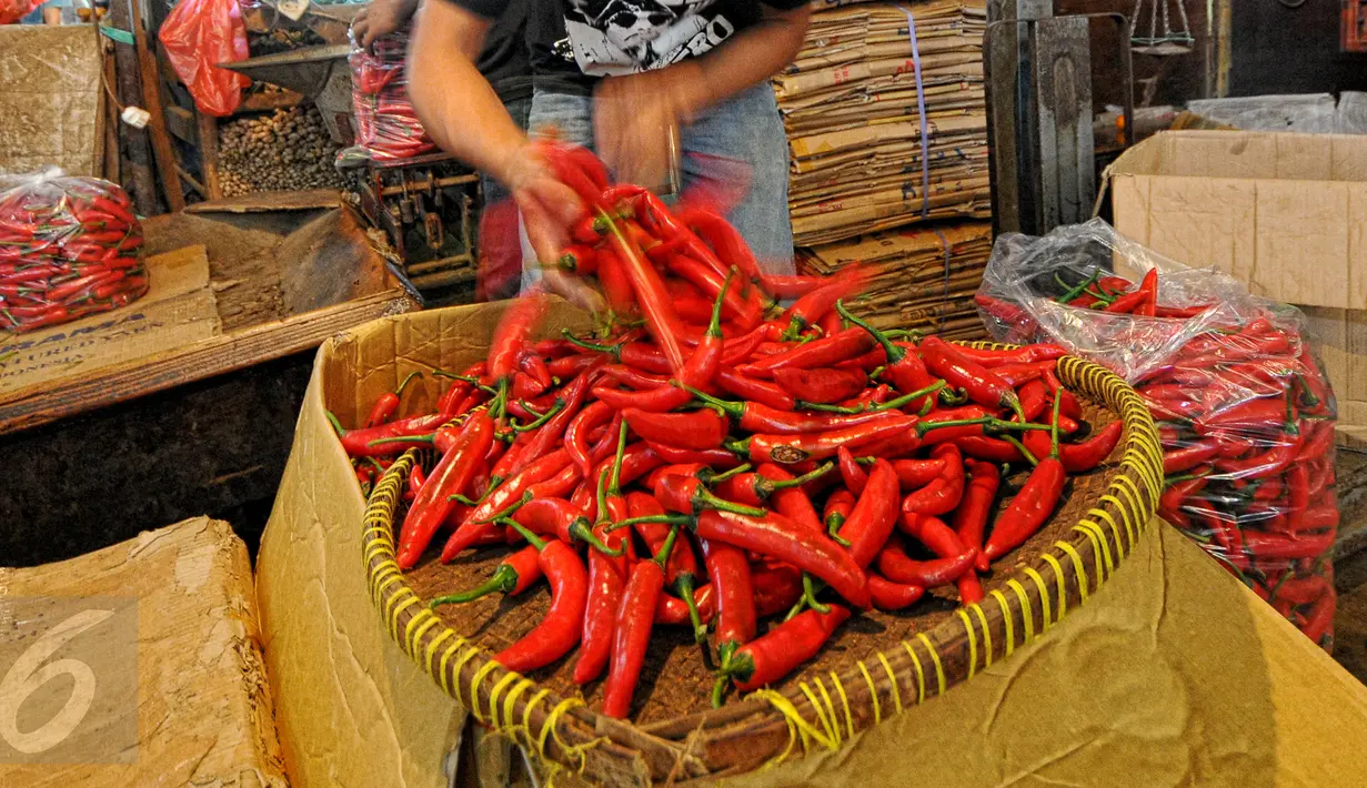  Memasuki awal Ramadan, harga cabai mulai mengalami kenaikan Pasar Induk Kramat Jati, Jakarta, Jumat (19/6/2015).  Harga Cabai Keriting naik dari harga Rp10 ribu menjadi Rp25 ribu/kg. (Liputan6.com/Yoppy Renato)