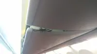 Heboh ada seekor kalajengking berukuran besar di kabin bagasi pesawat Lion Air JT - 293, Pekan Baru - Bandara Soetta. Salah satu penumpang mengabadikannya dan menceritakan kengerian tersebut.