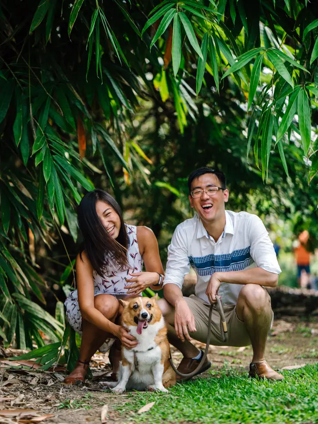 kepribadian berdasarkan anjing