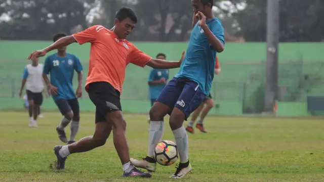 Arema