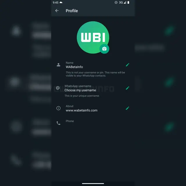 Username WhatsApp