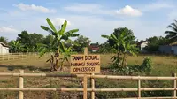 10 Hal Penting Sebelum Jual Beli Tanah, Langkah Antisipasi agar Aman