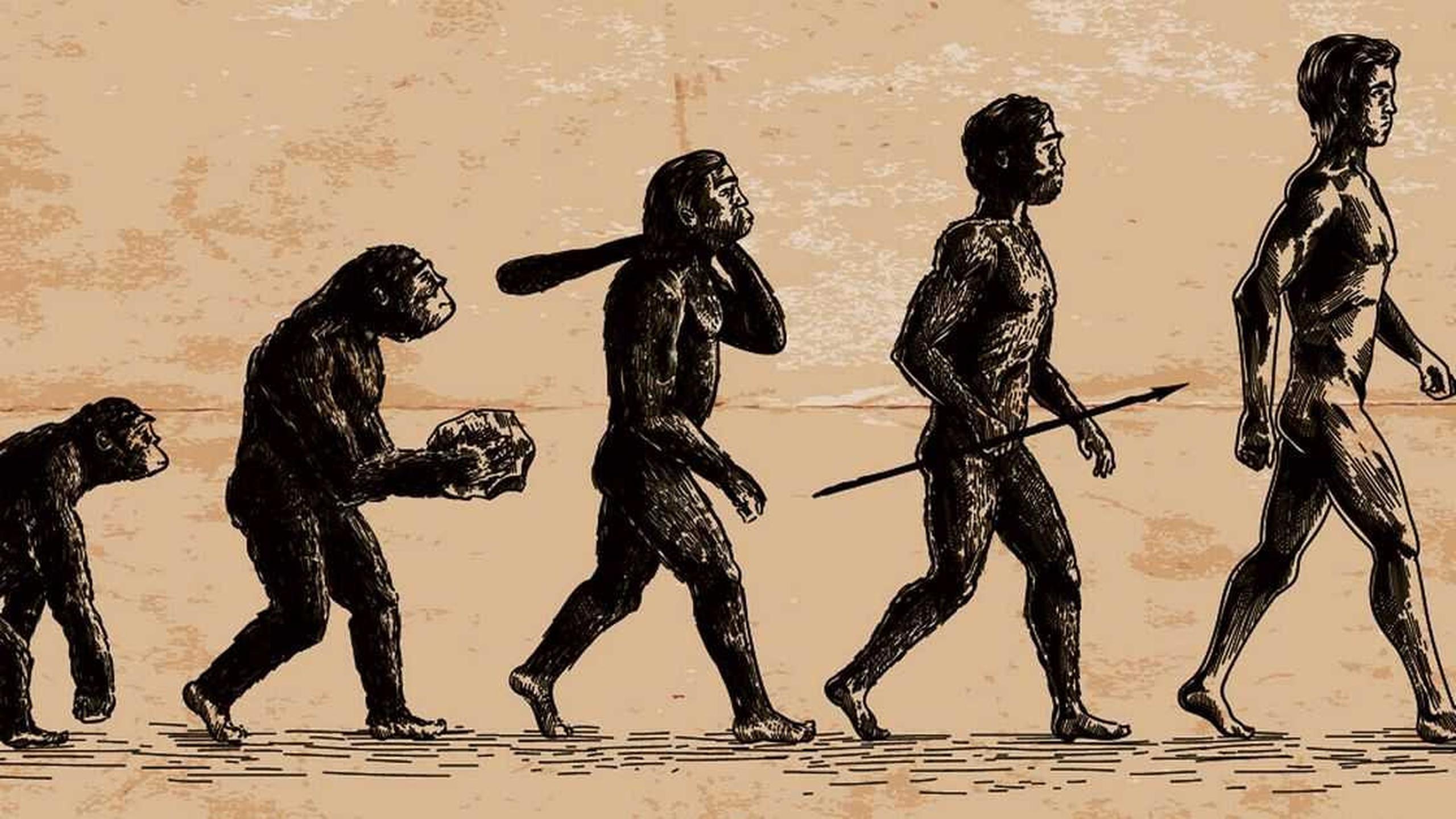 5 Manusia Purba Tertua di Indonesia, Berapa Ratus Tahun Umurnya?