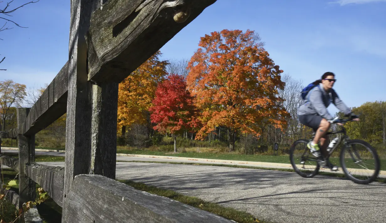 Seorang pengendara sepeda melewati deretan pohon berwarna-warni di Hutan Lindung Lakewood dekat Wauconda, Illinois, Amerika Serikat, 13 Oktoer 2020. (Paul Valade/Daily Herald via AP)