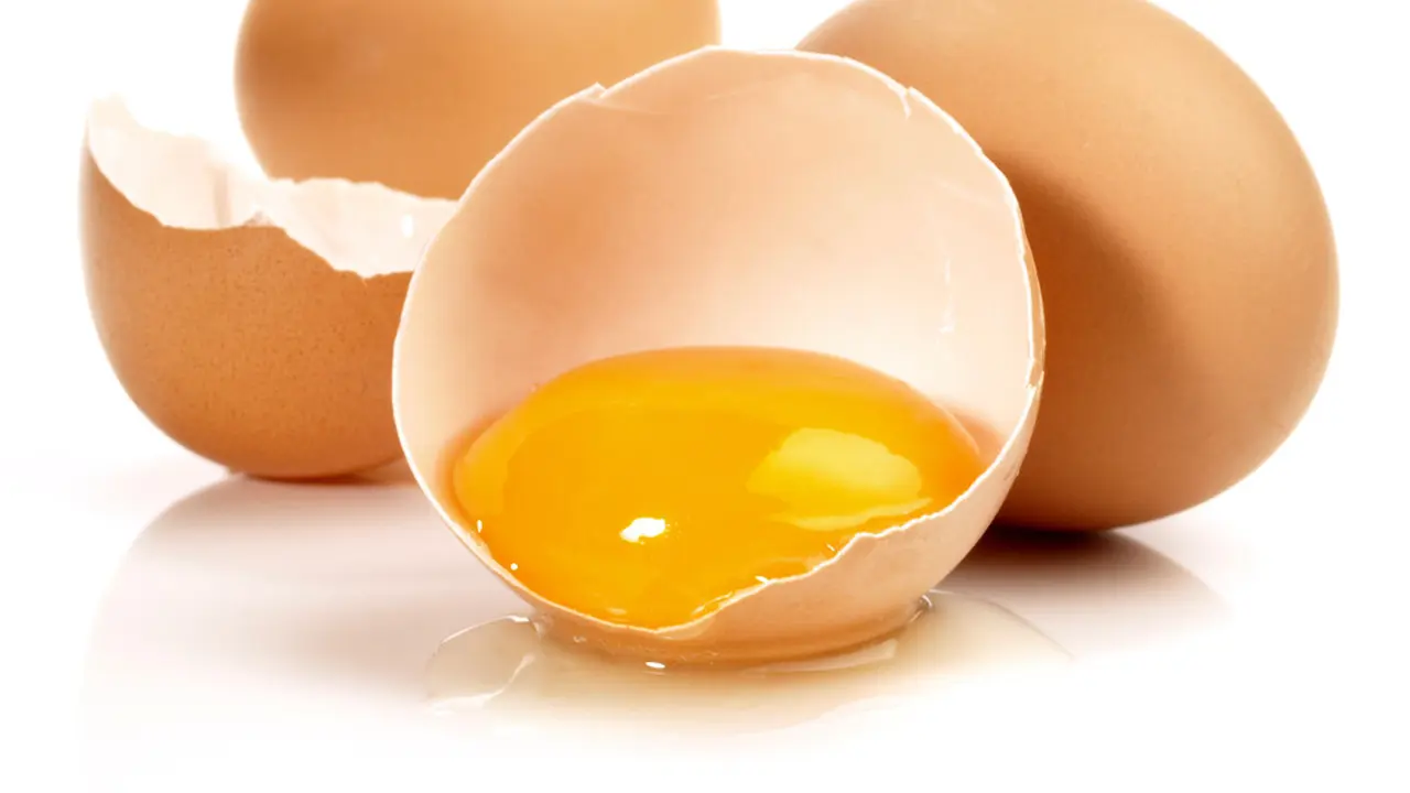 Kuning Telur