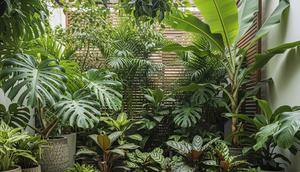 Jenis Tanaman Hias Berdaun Lebar untuk Teras (Sumber: gemini.com)