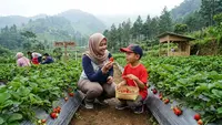 7 Rekomendasi Kebun Stroberi di Bandung, Bisa Petik dan Bawa Pulang Buah Segar