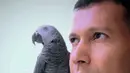Begitu akrab dan penurut, burung kesayangannya itu pun tetap berada di samping Adam walaupun berada di luar ruangan. Artis 90-an yang masih aktif hingga sekarang ini selalu bahagia ketika hewan bersayap itu minta dimanja-manja. Bahkan, pesinetron ini menyebut mereka sebagai anak-anaknya. (Liputan6.com/IG/@adam_jordanreal)