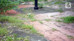 Kondisi Taman Martha Tiahahu yang terbengkalai di kawasan Blok M, Jakarta Selatan, Selasa (17/11/2020). Taman yang berdiri sejak 1948 tersebut kini kondisinya terbengkalai, dengan sampah dan rumput liar yang tumbuh hampir di seluruh sudut taman. (Liputan6.com/Immanuel Antonius)