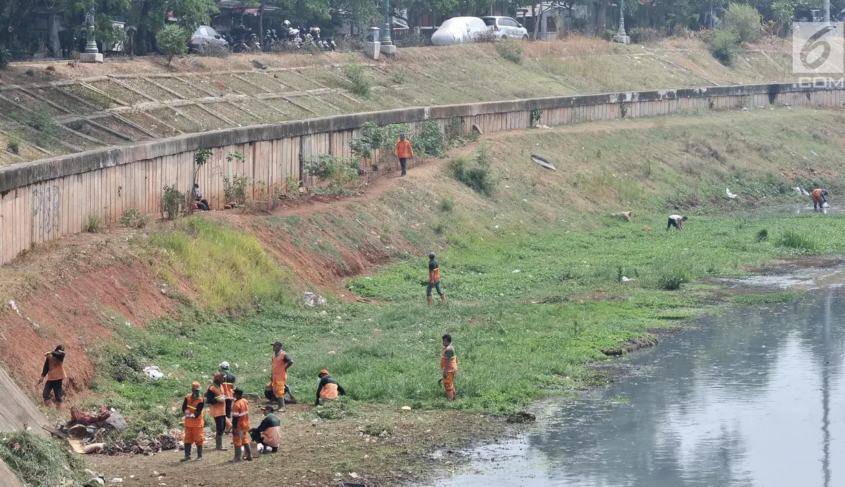 Petugas PPSU dan Sudin Tata Air Jakarta Timur membersihkan sampah dan tanaman liar di sepanjang aliran Kanal Banjir Timur (KBT), Senin (15/10). Banyak sampah yang bermunculan ke permukaan akibat debit air surut. (Merdeka.com/ Iqbal S. Nugroho)