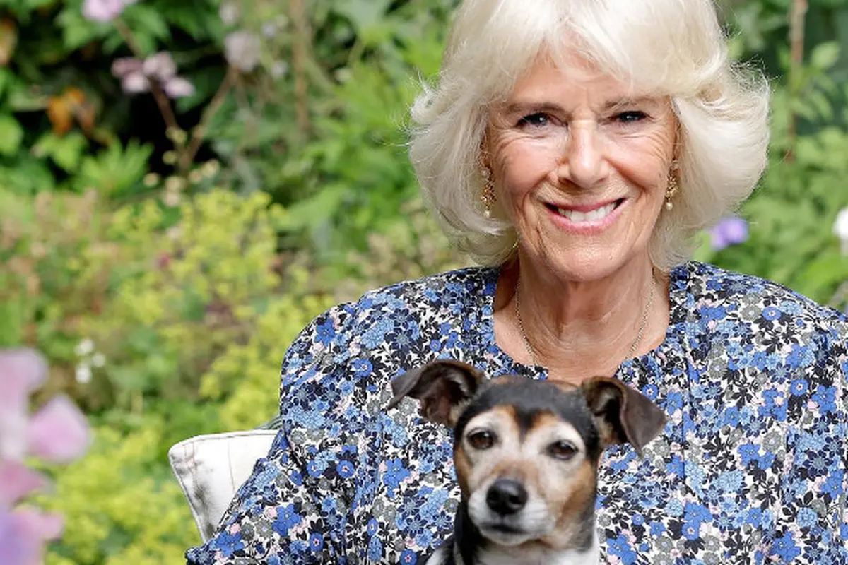 Camilla, Ratu Inggris. Ia menjadi ratu setelah Ratu Elizabeth II meninggal.