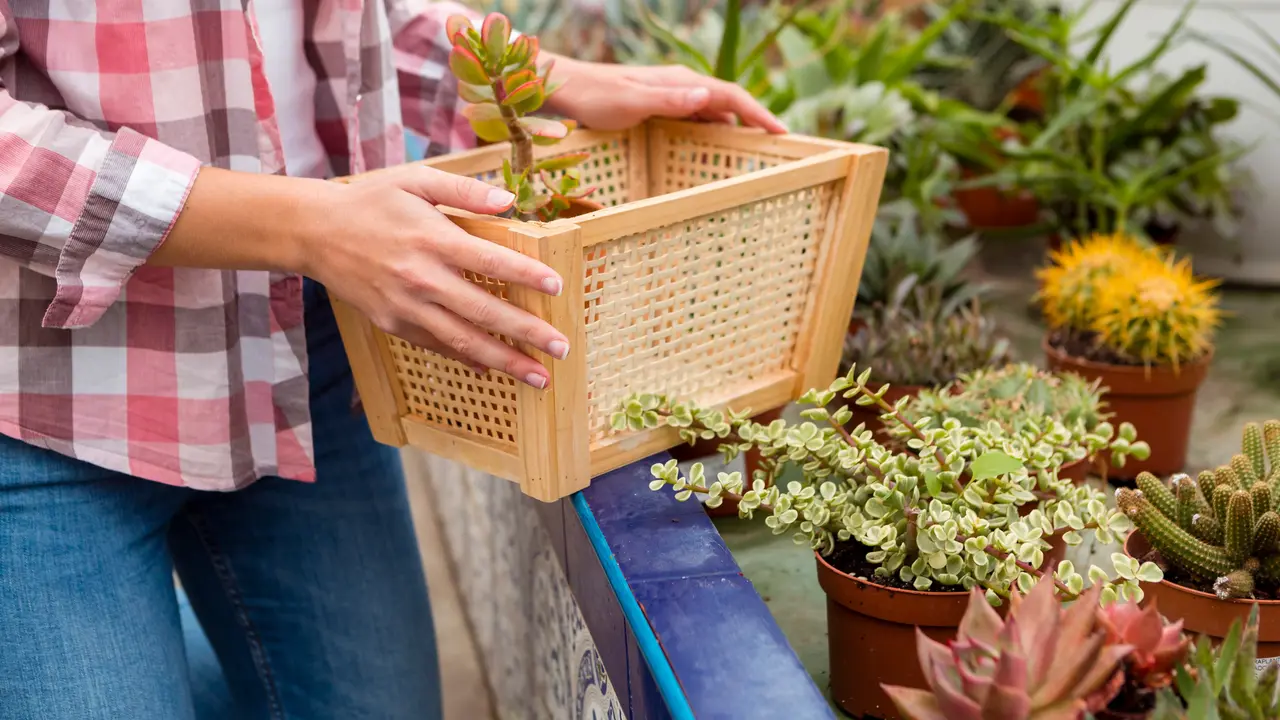 Trik Container Gardening untuk Bikin Patio Kecil Terlihat Lebih Mewah dan Estetis
