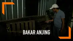 Seorang pengemudi ojek online membakar seekor anjing hingga tewas. Penyebabnya sepele, anjing itu menyakar pelaku saat pelaku buang air kecil di dekatnya.