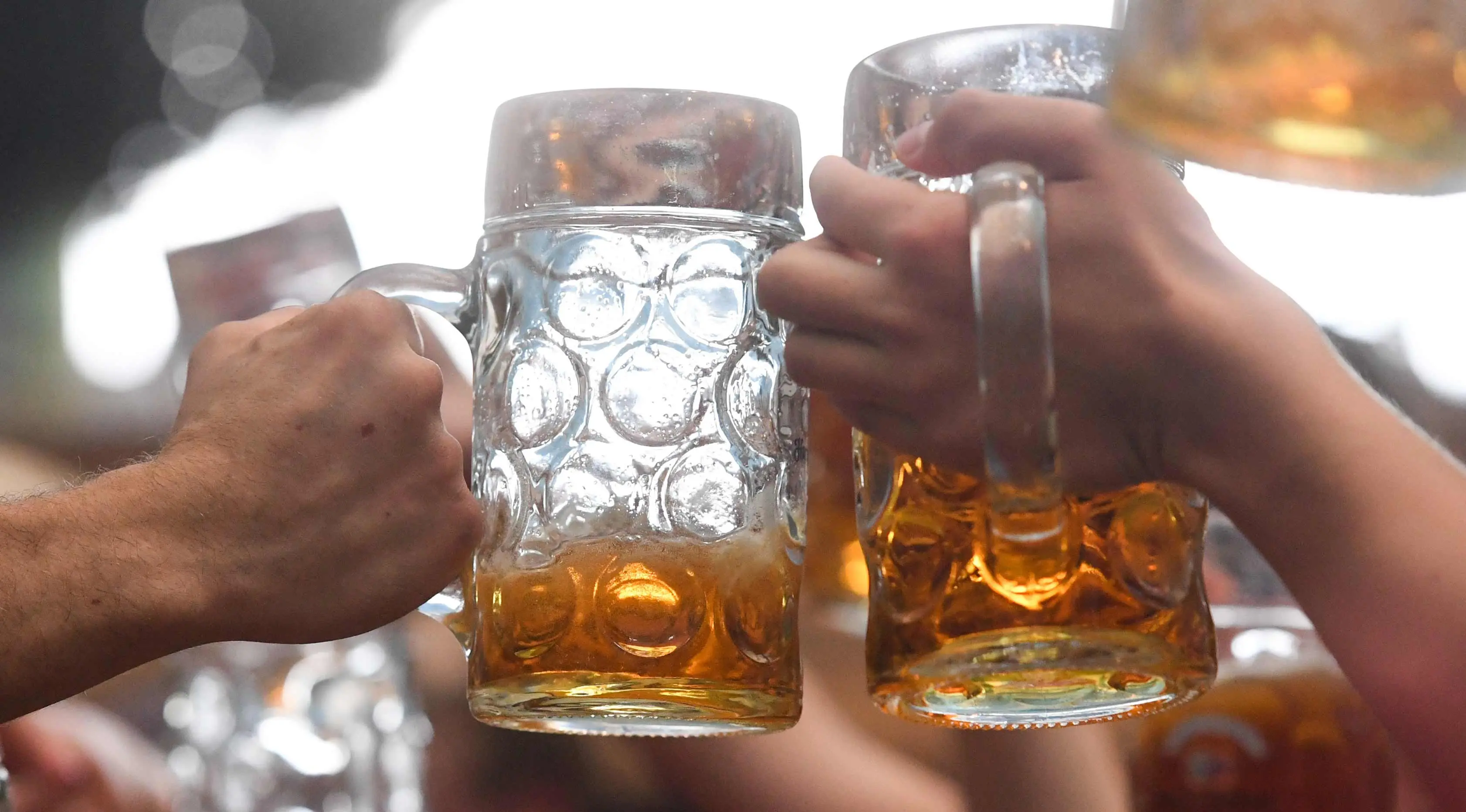 Pengunjung festival Oktoberfest bersulang dengan gelas berisi bir di tempat peristirahatan Theresienwiese di Munich, Jerman selatan (24/9). Festival bir terbesar di dunia ini berlangsung sampai 3 Oktober 2017. (AFP Photo/dpa/Tobias Hase/Germany Out)